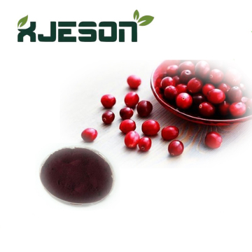 High Quality Cranberry Extract