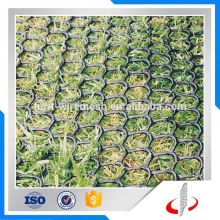 Grass Protecion Plastic Mesh Factory Price