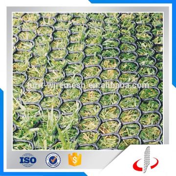 Grass Protecion Plastic Mesh Factory Price