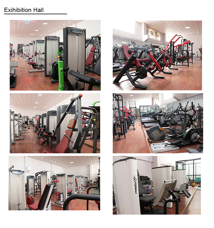 PU Straight And Curl 20kg Barbell Weightlifting Powerlifting For Gym Use