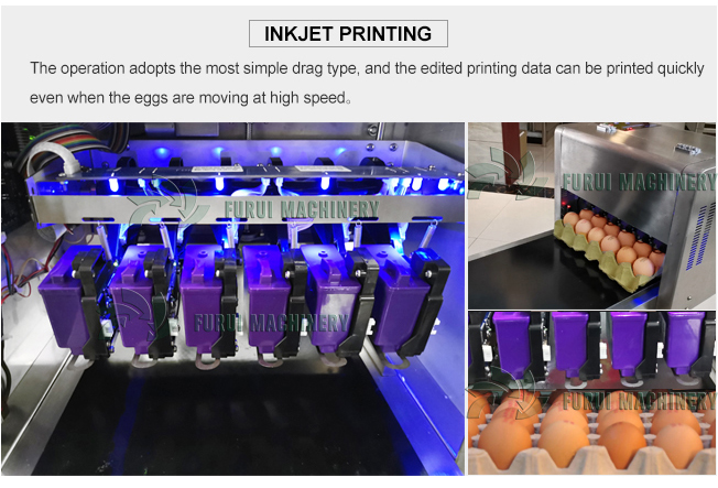 High speed egg inkjet printer/expiry date printing machine on Egg/egg date printing machine