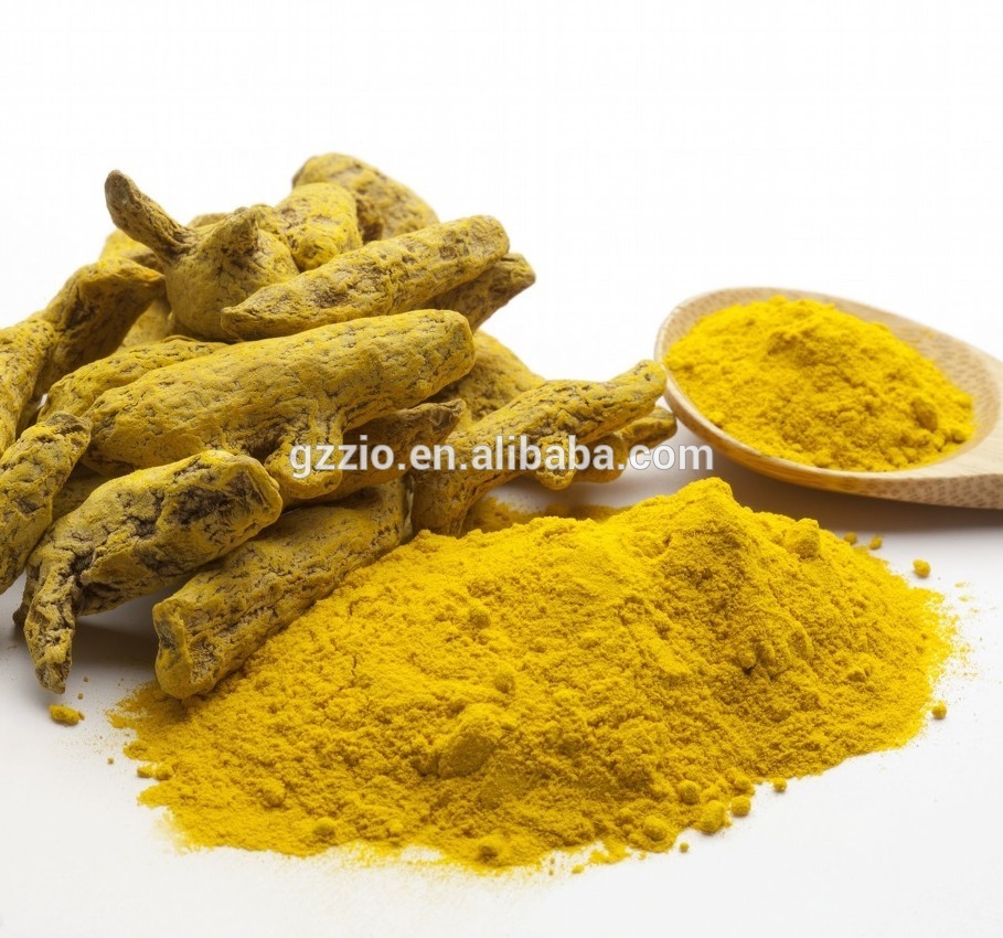 Food additive yellow turmeric extract powder factory sell free sample