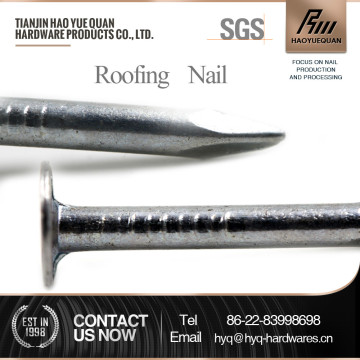 6 inch galvanized roofing nails best price