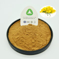 Acacia Rigidula Extract Natural Radix 10:1 Bio-Pulver