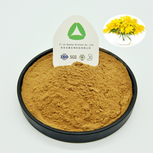 Acacia Rigidula Extract Natural Radix 10: 1 Органический порошок