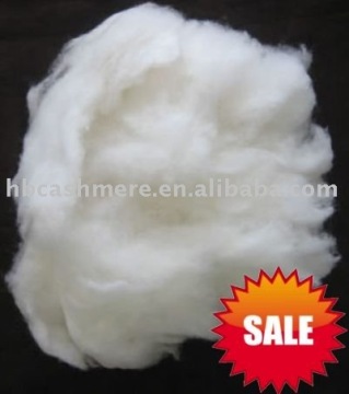 brown cashmere fibers--dehaired cashmere