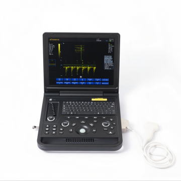 Male polycystic kidney ultrasound diagnostic instrument