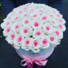 White cylinder rose flower box