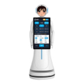 Interactive Talking Robots dla firmy