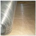 Galvanized Welded Wire Netting