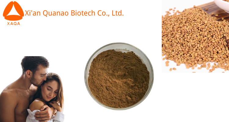 Bockshornkleesamenextrakt Fenugreek seed extract