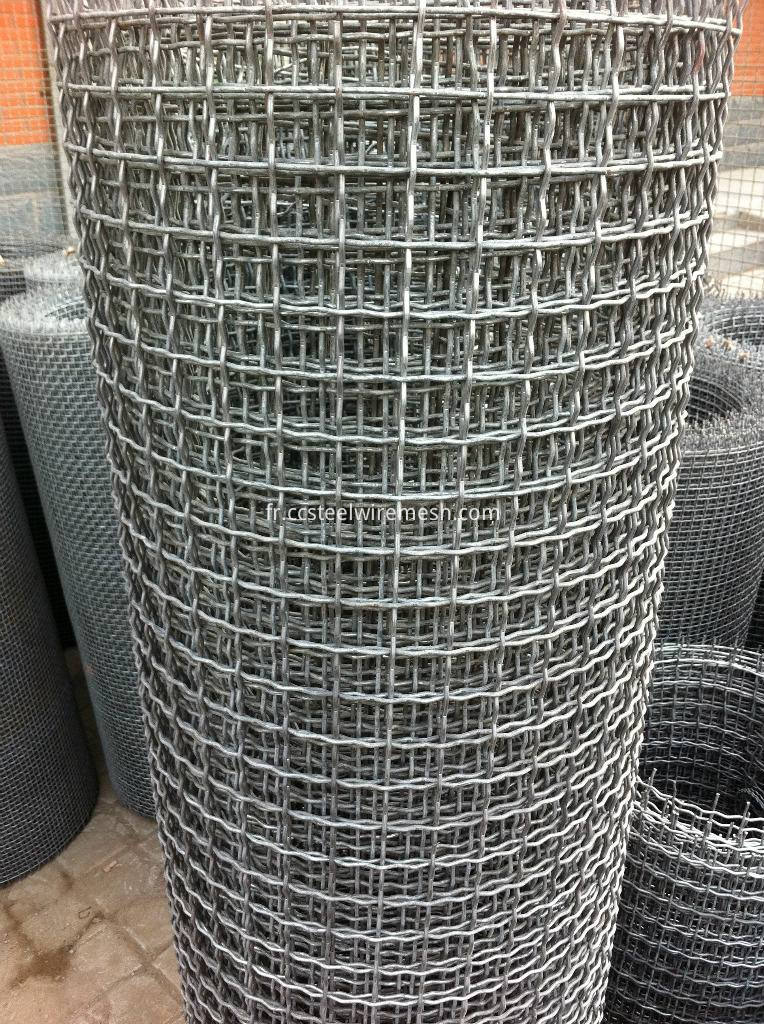 crimped wire mesh 