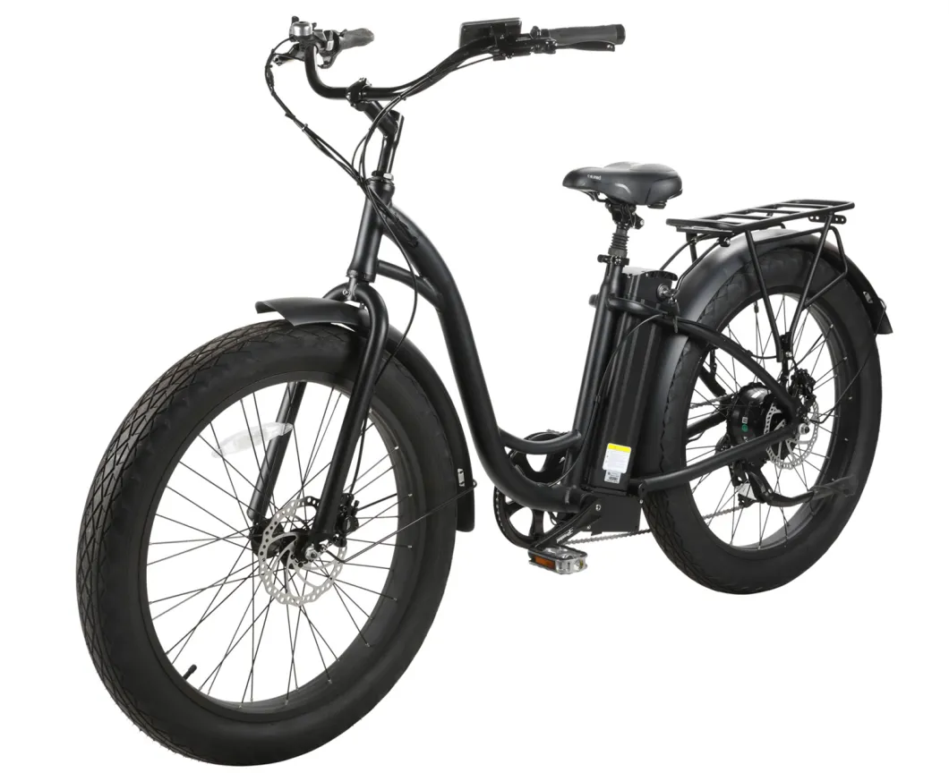 Women Bicycle 350W Electric City Bicycle Urban Bike