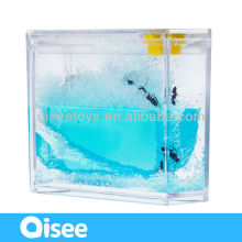Newest innovative education natural toy small ant farm - ant story (SP)