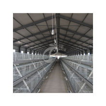 China Factory Wholesale Egg Layer Chicken Cages for 5000 Birds