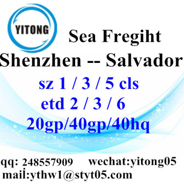 Shenzhen Ocean Freight Shipping Services to Salvador