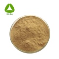 10: 1 Szechwan Lovage Chuanxiong Rhizoma Extract Powder Powder