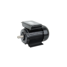 YL802-4 Capacitor Start 110V AC Motor 0.75KW