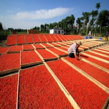 180 dried  Goji  Berry  wolfberry