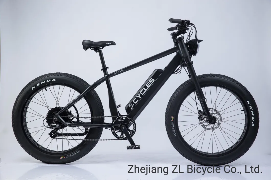 Zl-2001f 26''*4.0 Fat Electric Bike 48V 1000W External 8speed