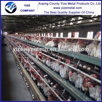 design layer chicken cages, High Quality automatic poultry layer chicken cages (manufacturer)