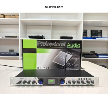 MP100 Sound Exciter - Professional Audio Equipment for Speaker Management and Effects