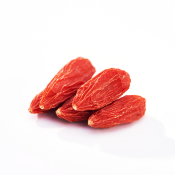 Free Sample Red Wolfberries