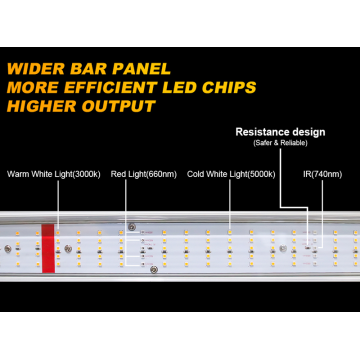 Luces de cultivo LED populares 700W para carpa de cultivo