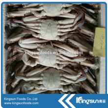 High Quality Frozen Crab Whole Round/Cut Crab
