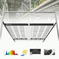 Luce di coltivazione a LED in serra commerciale da 1500 W da 1500 W