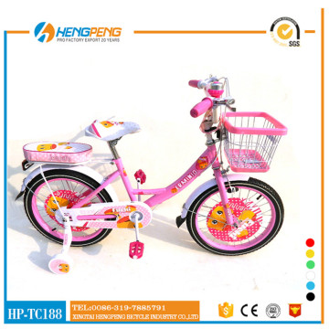 Fashion girl kids bike