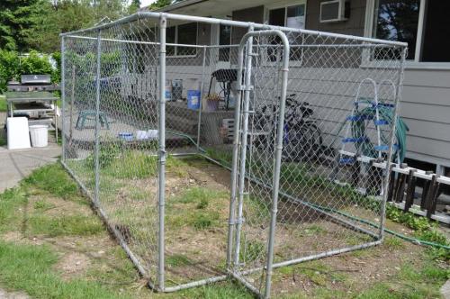 Pet Enclosure &amp; Chó Chạy Kennel