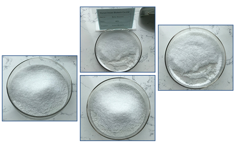 Insen Provide Beta Alanine Powder Bulk