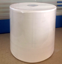 Hardwound Roll Paper Towels