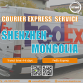 International Courier Express from Shenzhen to Mongolia FedEx