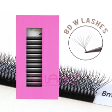 Premium Korean PBT 7D W Shape Individual False Eyelashes Private Label Boxes