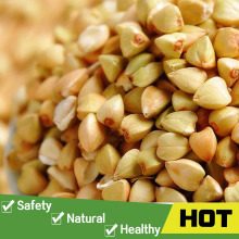 Bulk buckwheat kernel from china