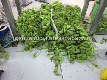 new style wired earphone/cheap earmuffs/sighteesing bus products/radio earbuds/earpieces for radio tourist guide system/earphone