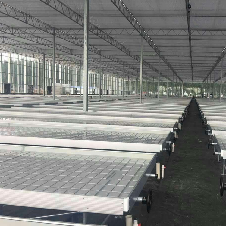 Seed rolling bench rolling bed for agriculture greenhouse