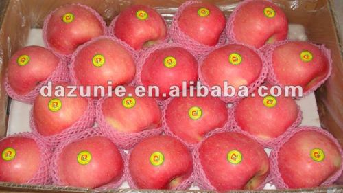 2011 Fresh Red Fuji Apple