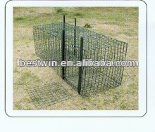 collapsible animal cage trap,squirrels cage trap,animal trap
