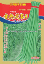 Super Long Chinese Green Noodle Bean Seeds/All Green Bean Variety Seeds For Growing
