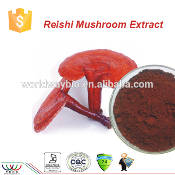 Boost immune system Kosher cGMP HACCP FDA certified 6% triterpenes reishi extract reishi mushroom extract