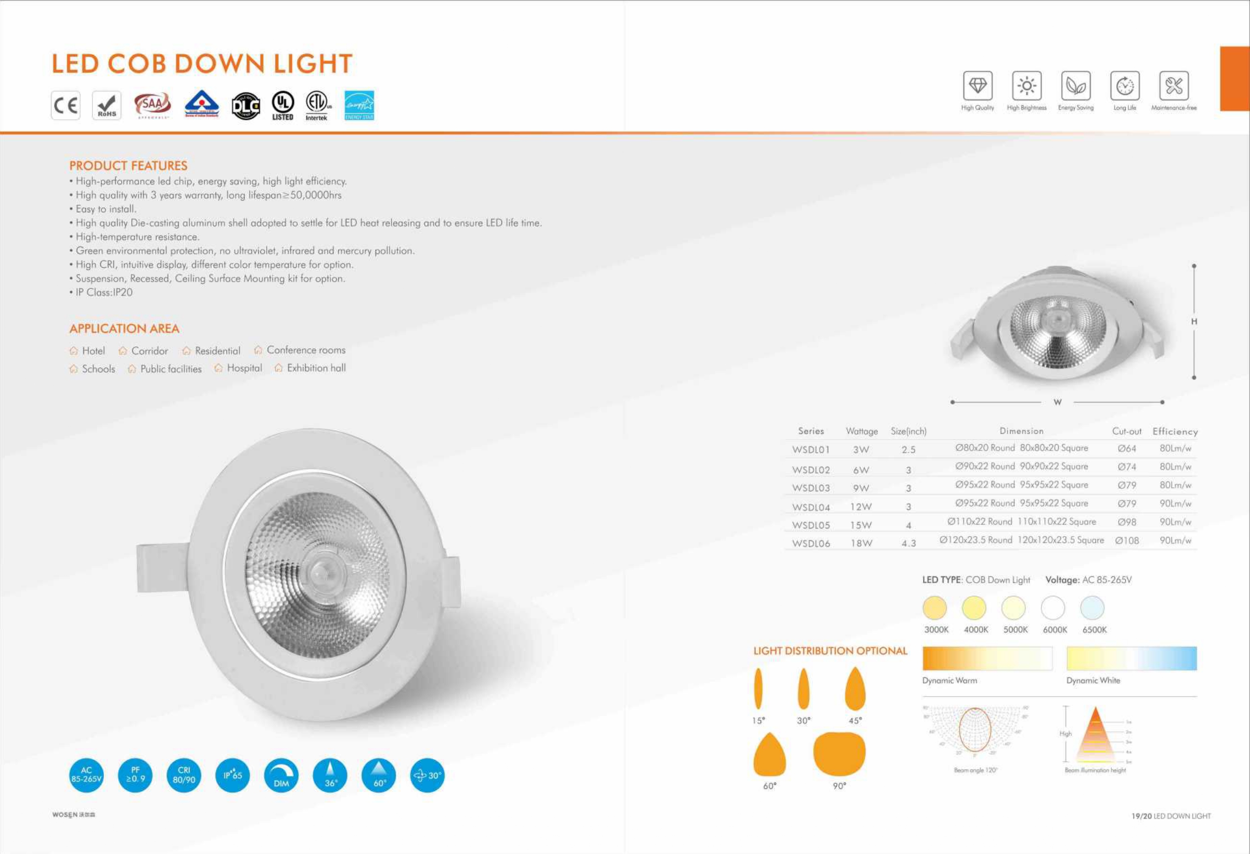 Indoor COB Down Light