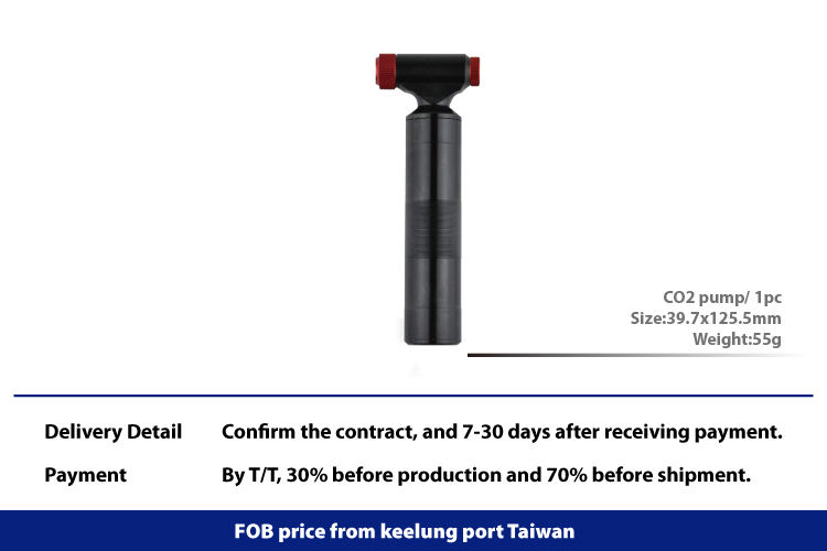 CO2 pump for presta and schrader