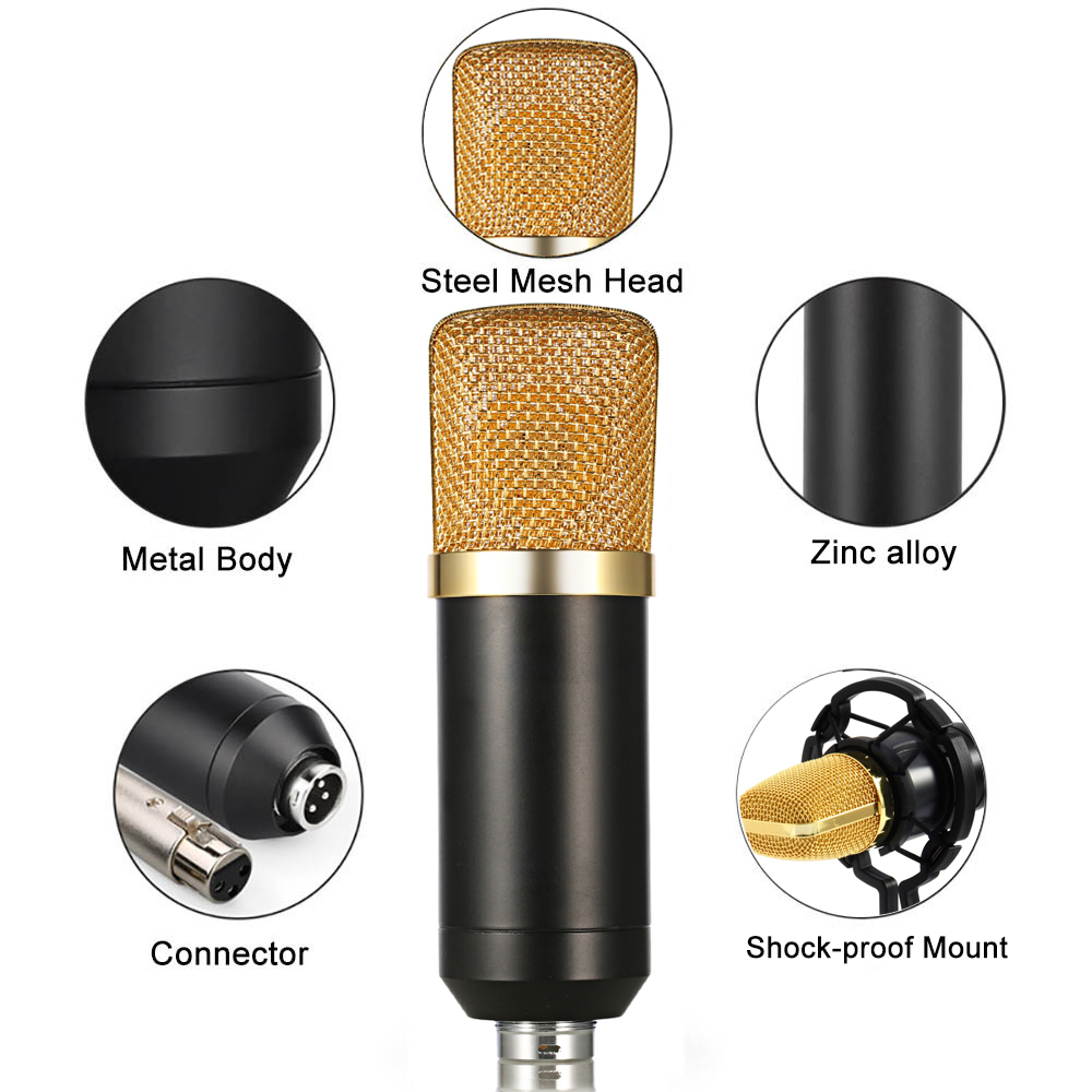 Professional Direct Custom Logo Recording Studio Ribbon Microphone