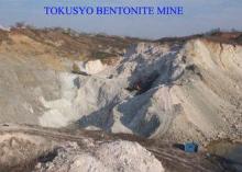 API Standard Natural Powder Bentonite for Drilling Fluids A