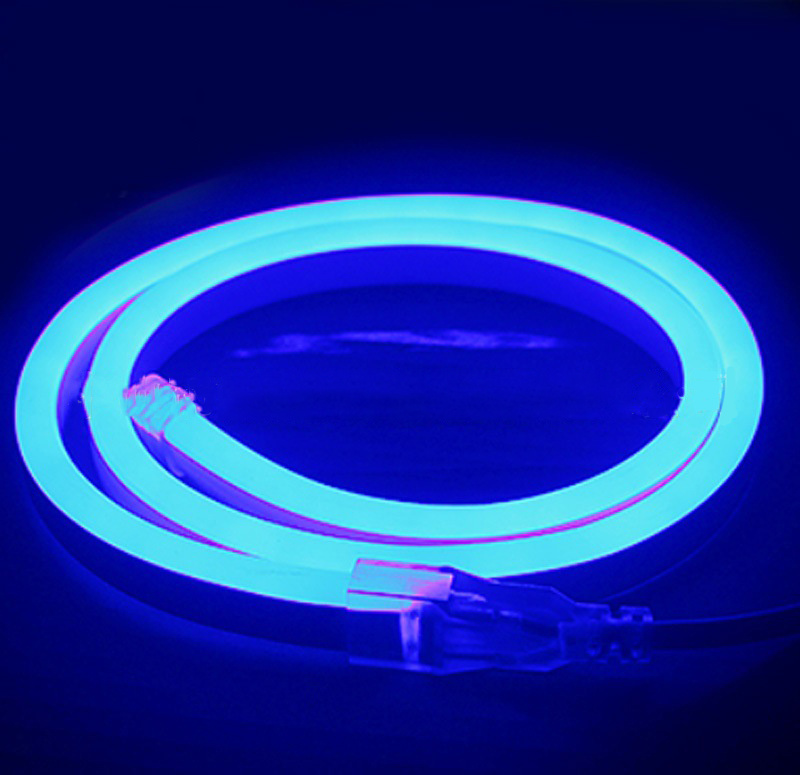 220v Neon Rope Lights IP67 Waterproof 5050 Indoor Outdoor Lighting Smart Rgb Neon Led Rope Light Strip