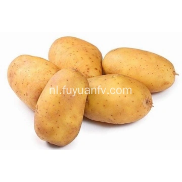 Aardappel 150 175g Farm Fresh Potatoes Sweet Potato Manufacturer In China
