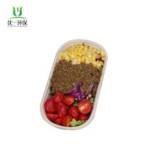 Sugarcane Tableware Food Packaging 1000ML Food Container